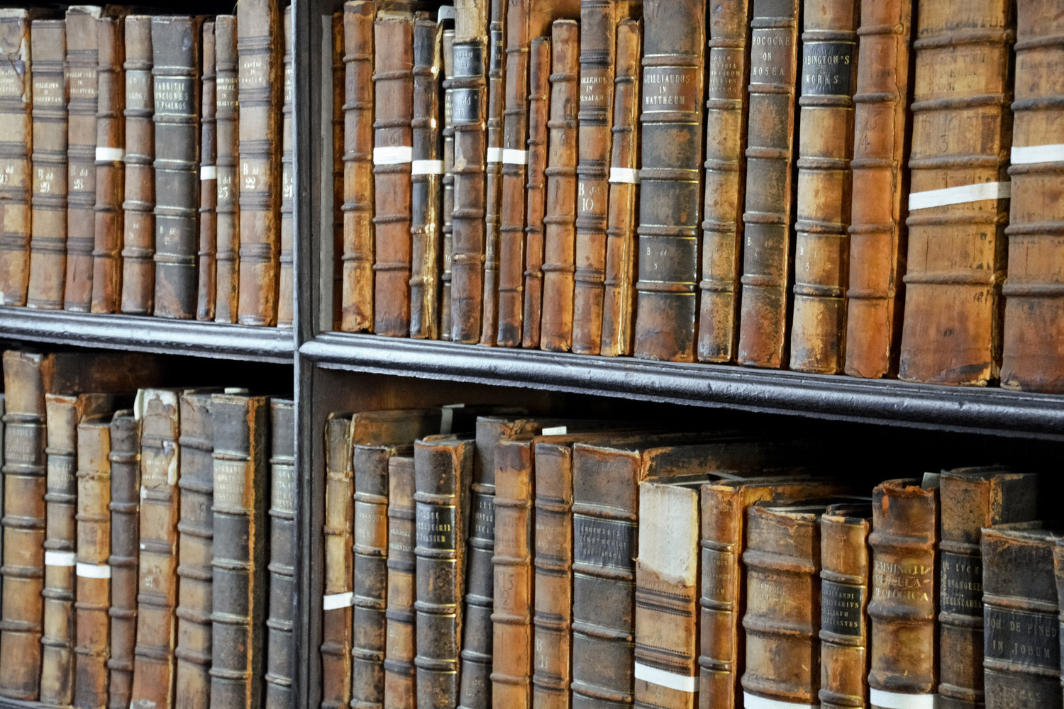 The Archive